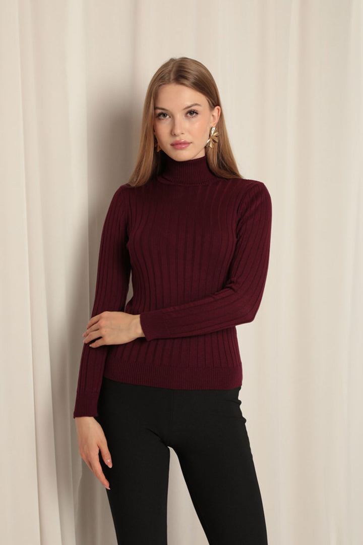 KKT Knitwear Fabric Turtleneck Women's Plum Blouse - Azzano