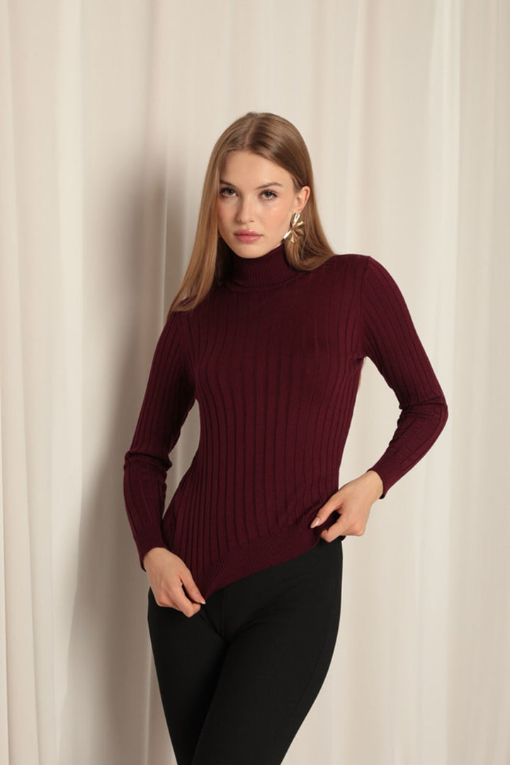 KKT Knitwear Fabric Turtleneck Women's Plum Blouse - Azzano