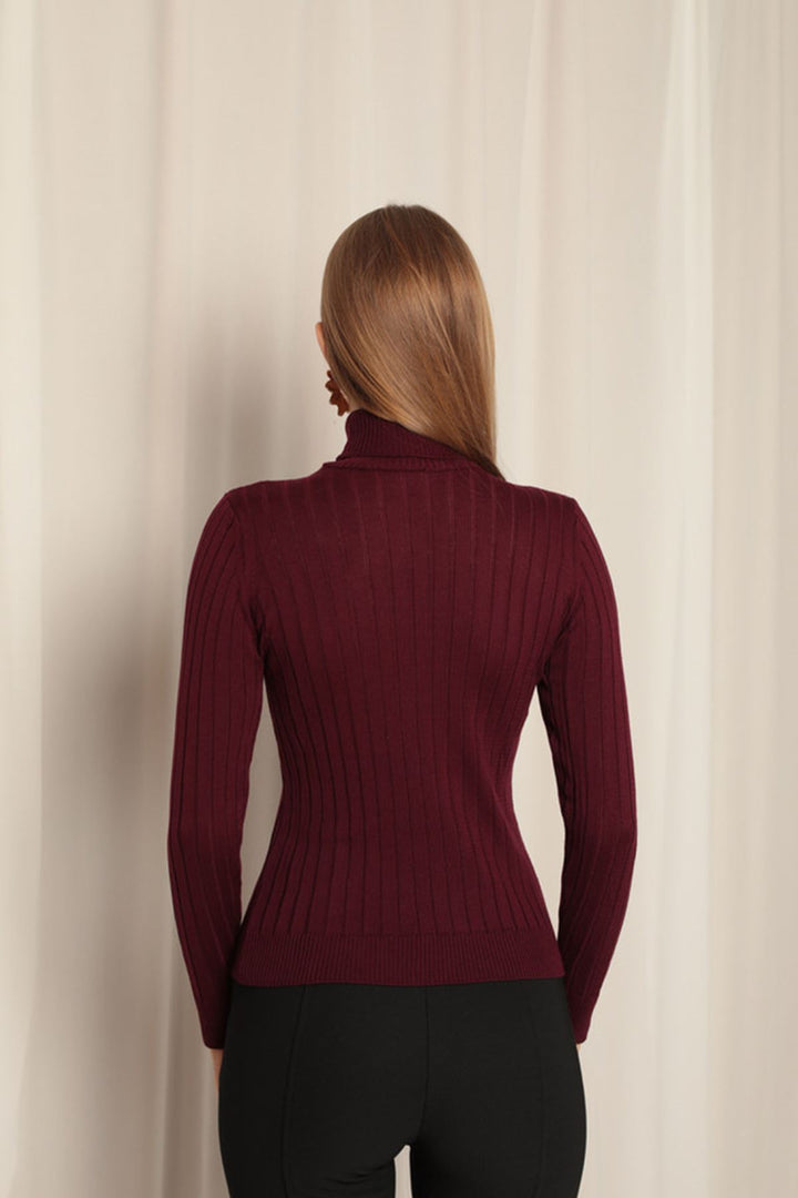 KKT Knitwear Fabric Turtleneck Women's Plum Blouse - Azzano