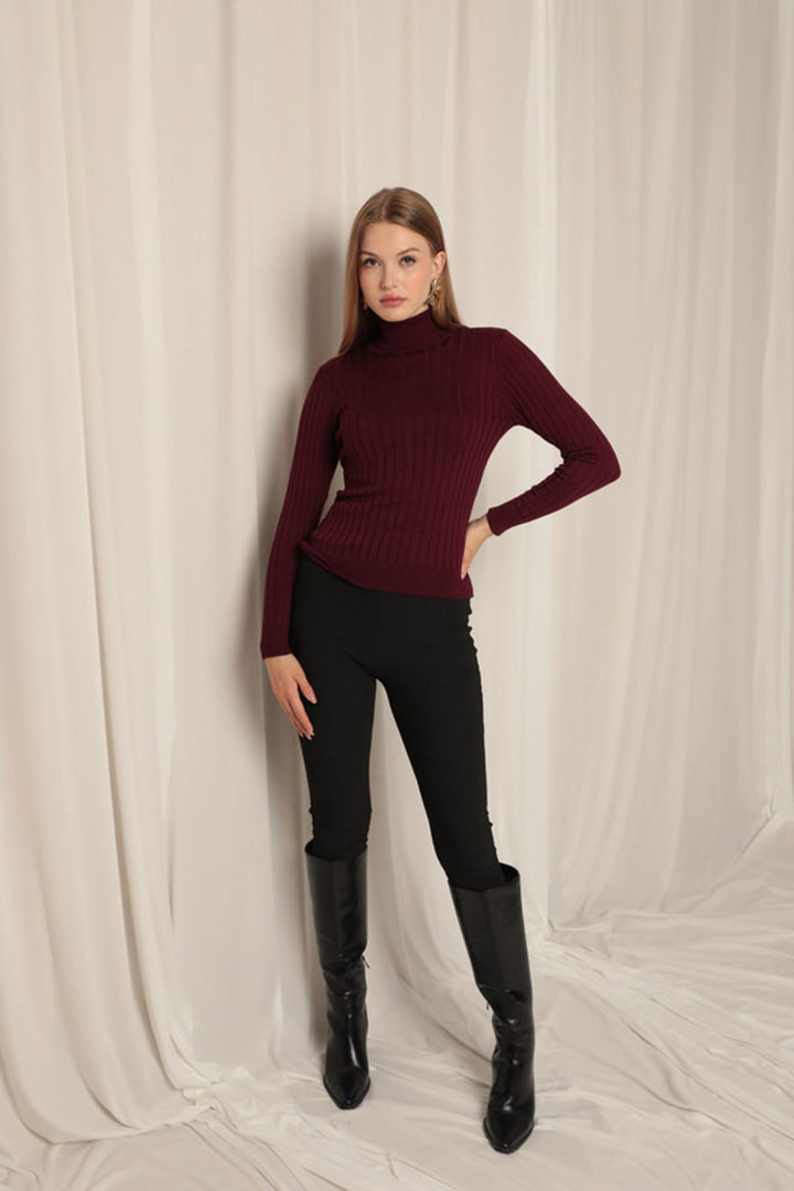 KKT Knitwear Fabric Turtleneck Women's Plum Blouse - Azzano