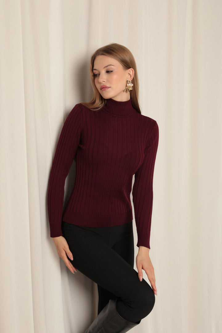 KKT Knitwear Fabric Turtleneck Women's Plum Blouse - Azzano