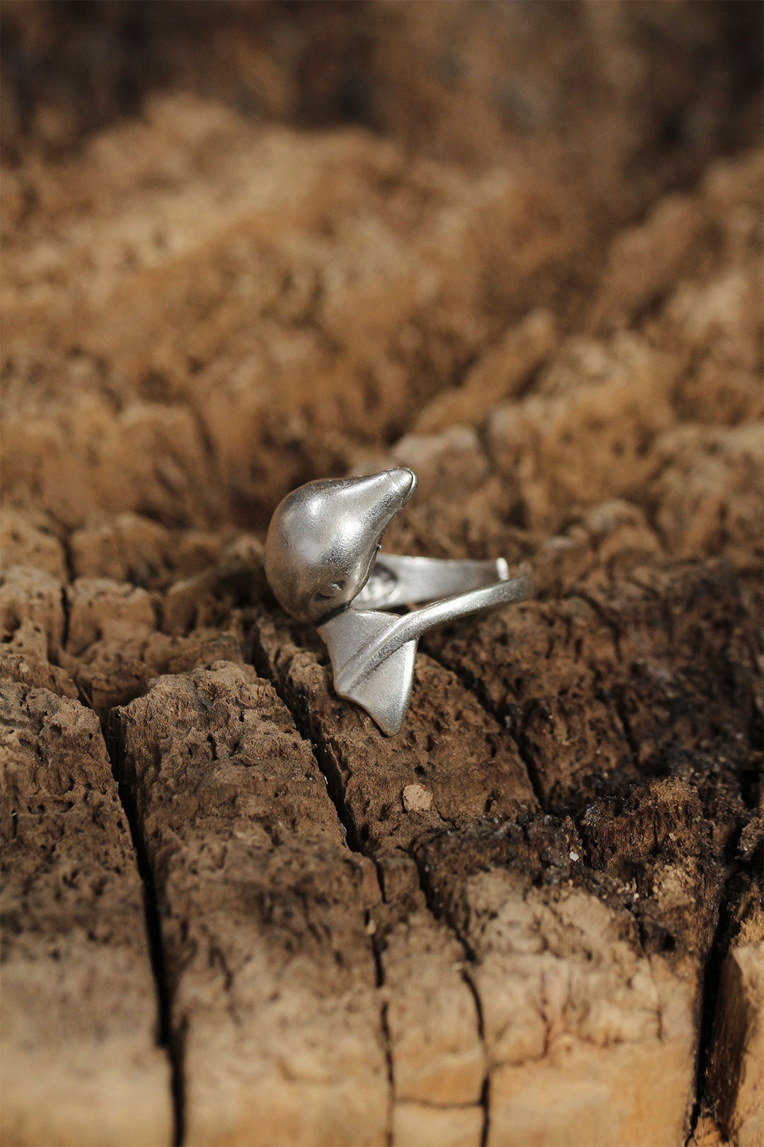 EBJ Adjustable Women's Ring with Authentic Dolphin Fish Design - Magdeburg