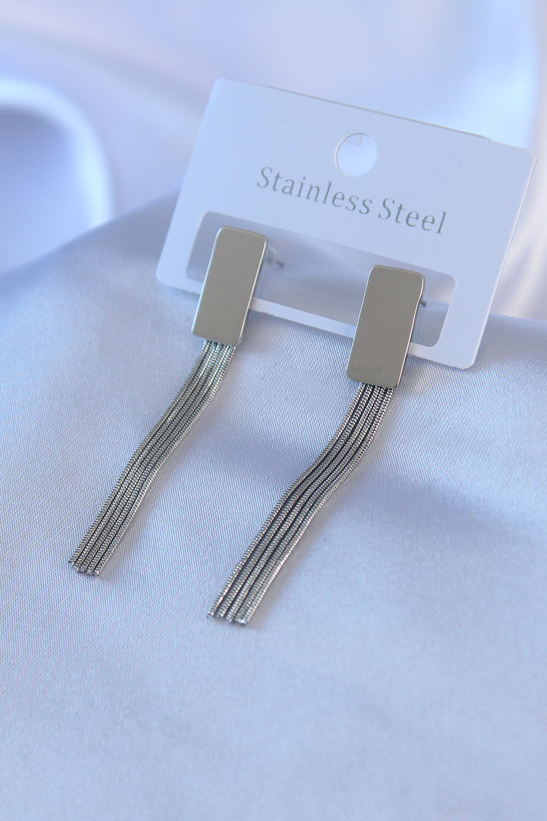 EBJ 316L Stainless Steel Silver Color Dangle Model Women's Earring - Norwich