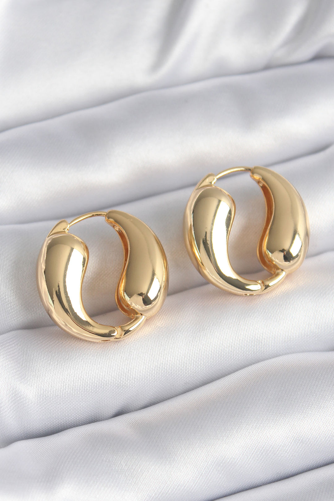 EBJ 316L Stainless Steel Gold Color Ring Drop Model Women's Earring - Carmichael