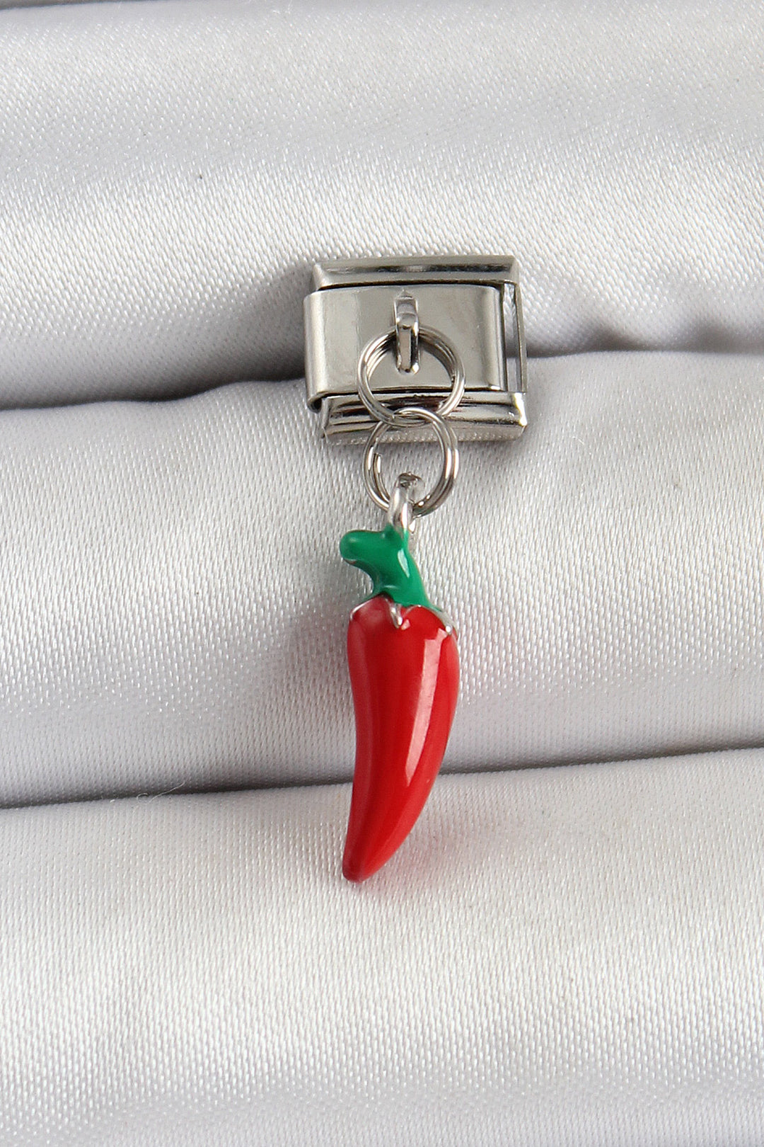 EBJ 316L Stainless Steel Silver Color Capsicum Model Nomination Charm - Ludwigshafen