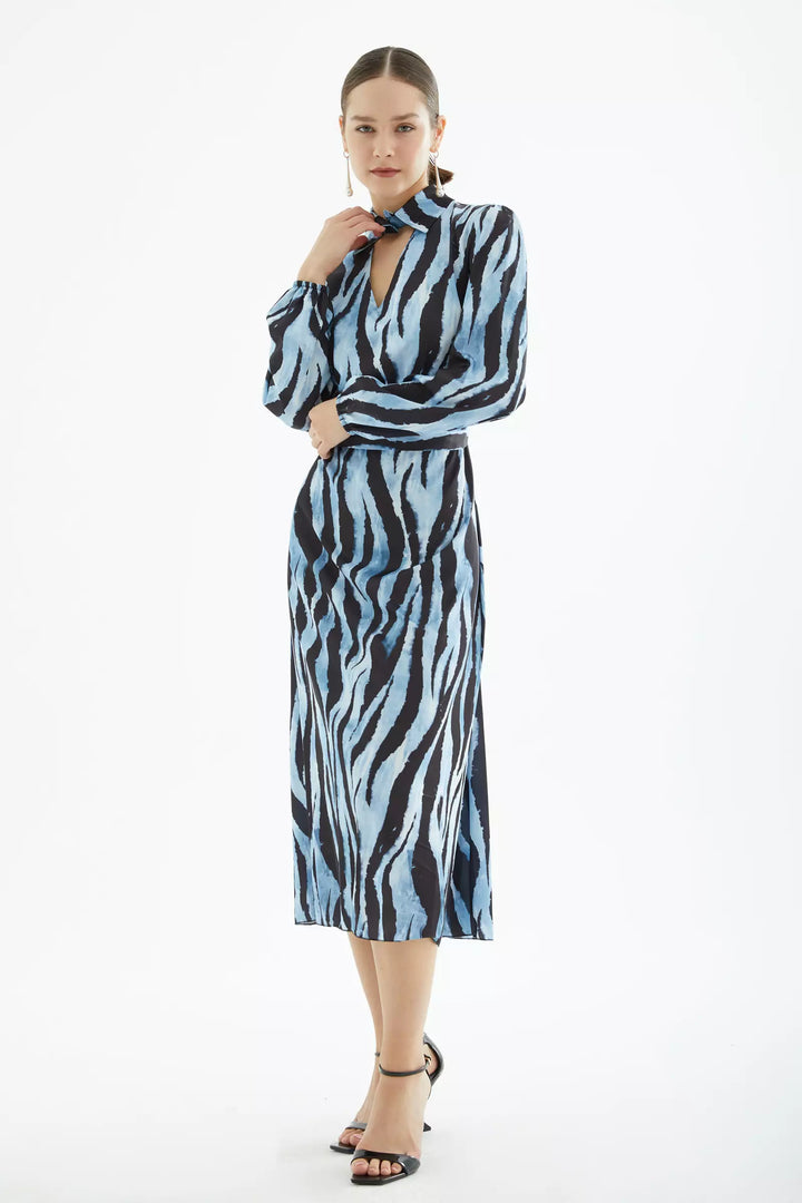 FRV Printed satin long sleeve midi dress - Knoxville