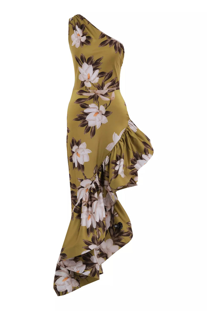 FRV Printed satin single sleeve long dress - San Antonio