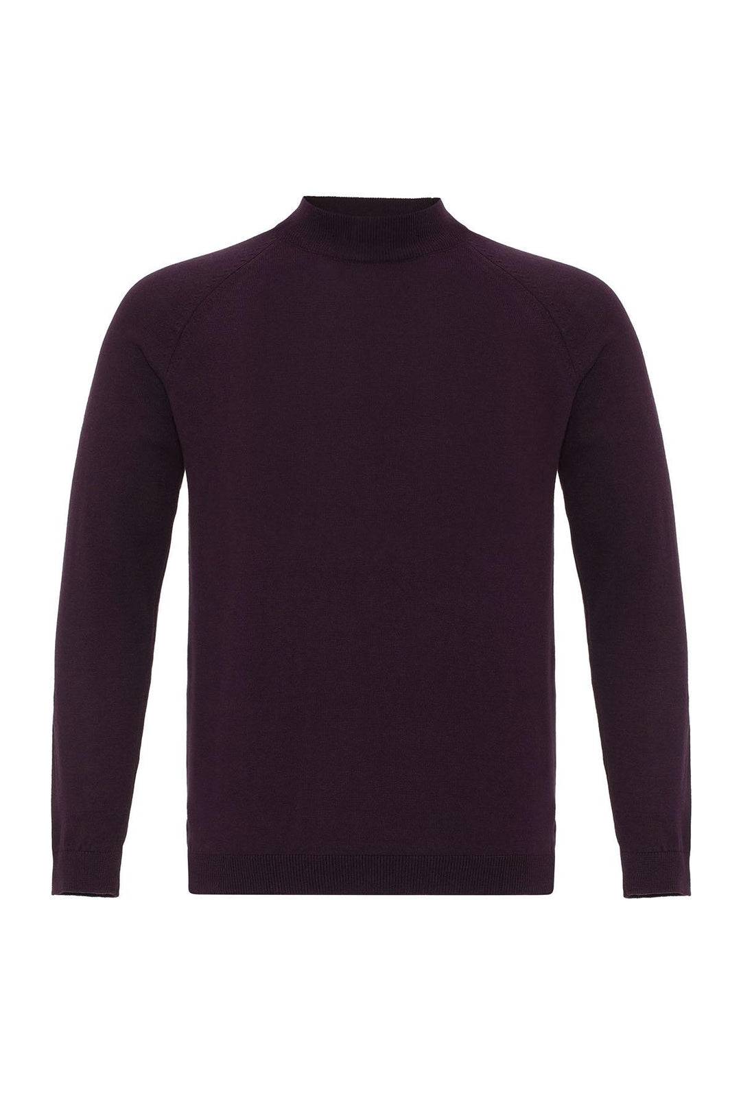 ANT Half Turtleneck Men's Knitwear - Bocholt