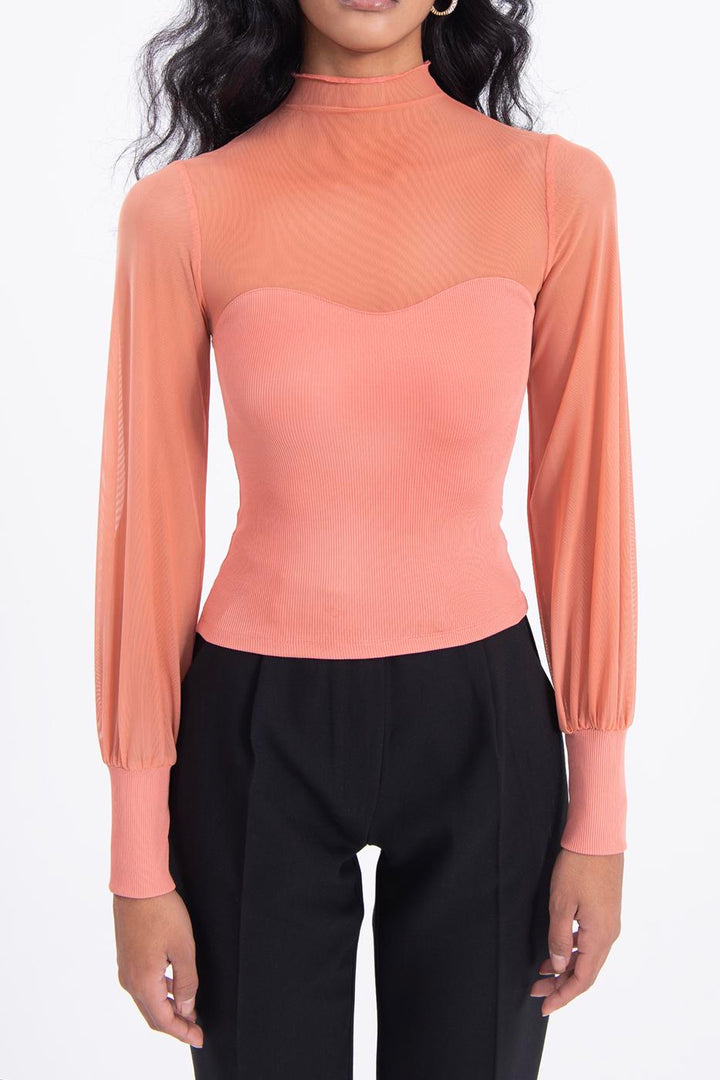 BSL Women Balloon sleeve transparent blouse - Downers Grove