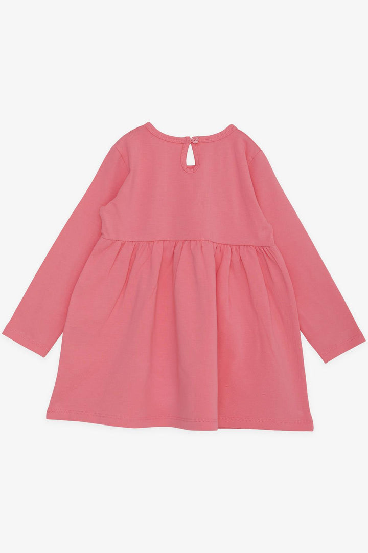 BRE Silly Girl Child Long Sleeve Dress Cute Princess Kitty Printed 1.5-5 Years, Pink - Santa Cruz