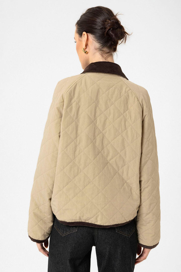 ANT Antioch Women's Quilted Jacket with Polo Collar - Sant’Eufemia Lamezia