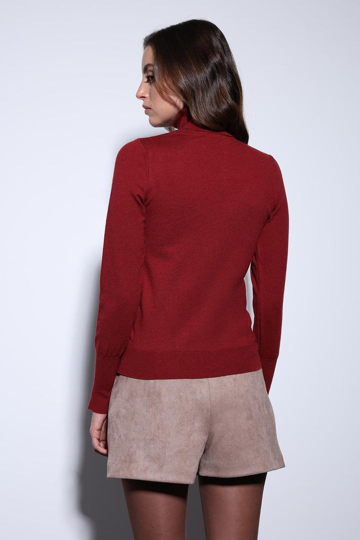ANT Antioch Burgundy Turtleneck Sweater - Smithtown