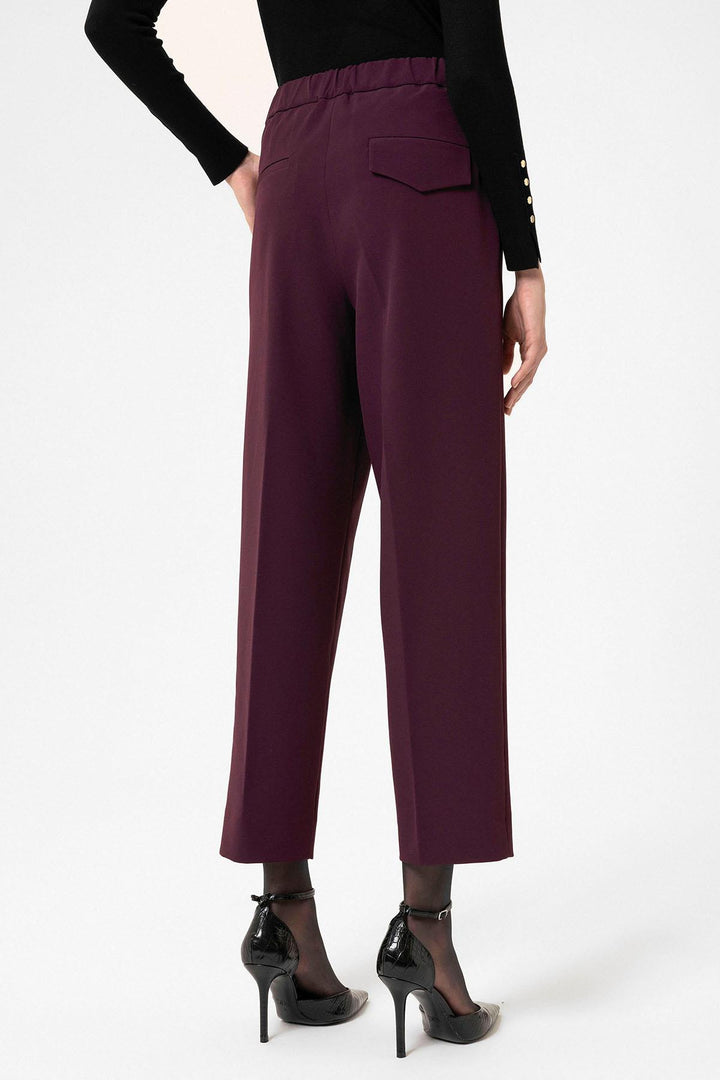ANT Antioch Bordeaux Women's High Waist Straight Fit Shorts - Benton
