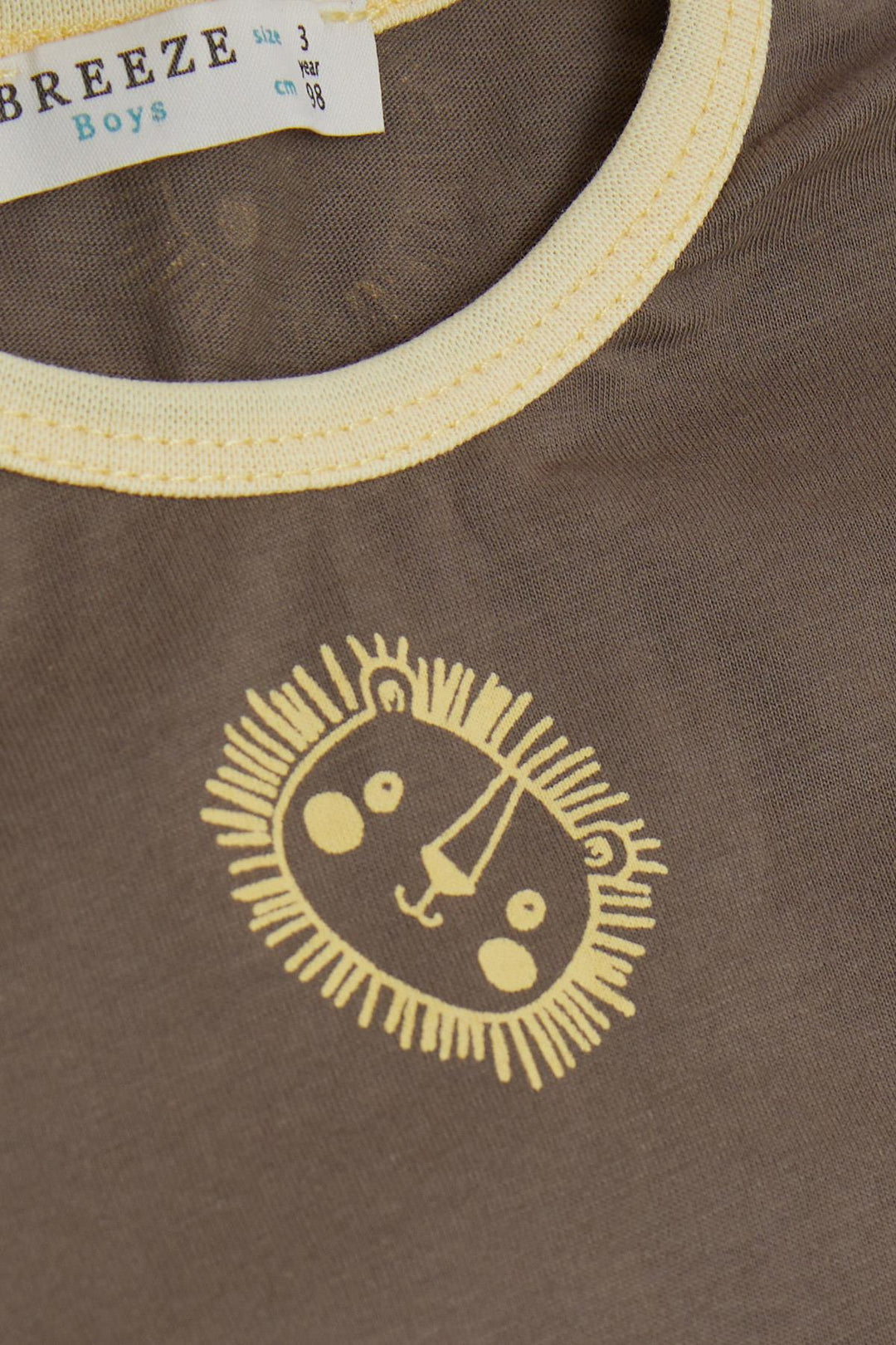 BRE Breeze Girls & Boys Boys' Pajama Set Cute Lion Patterned 1-4 Years, Mink - Villa de Álvarez