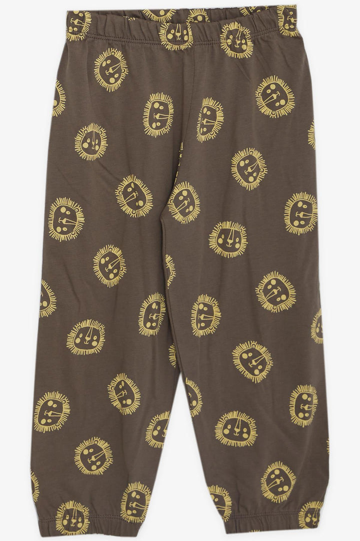 BRE Breeze Girls & Boys Boys' Pajama Set Cute Lion Patterned 1-4 Years, Mink - Villa de Álvarez