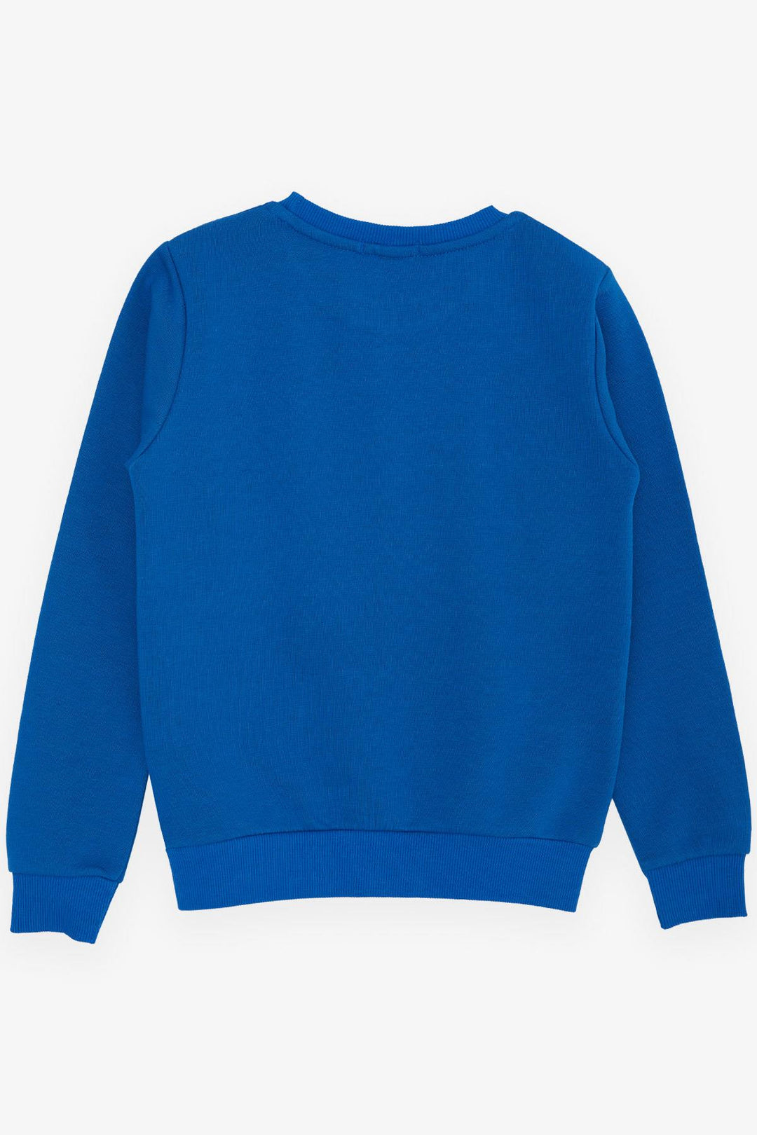 BRE Breeze Girls & Boys Boys Sweatshirt Printed with Text, 84 Years, Saxe Blue - Winter Haven