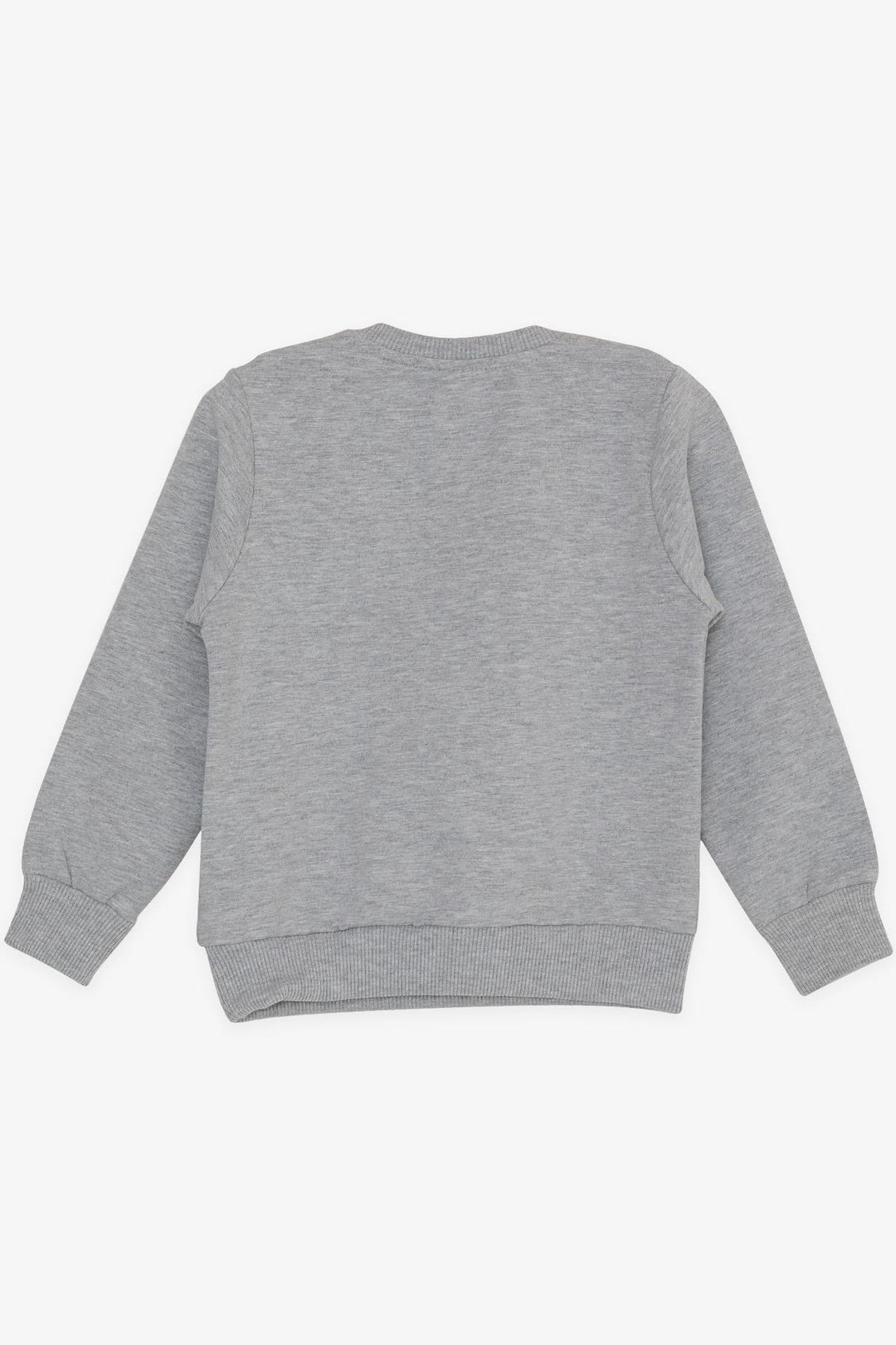 BRE Breeze Girls & Boys Boys Sweatshirt Printed with Text, 2-6 Years, Light Grey Melange - Düsseldorf
