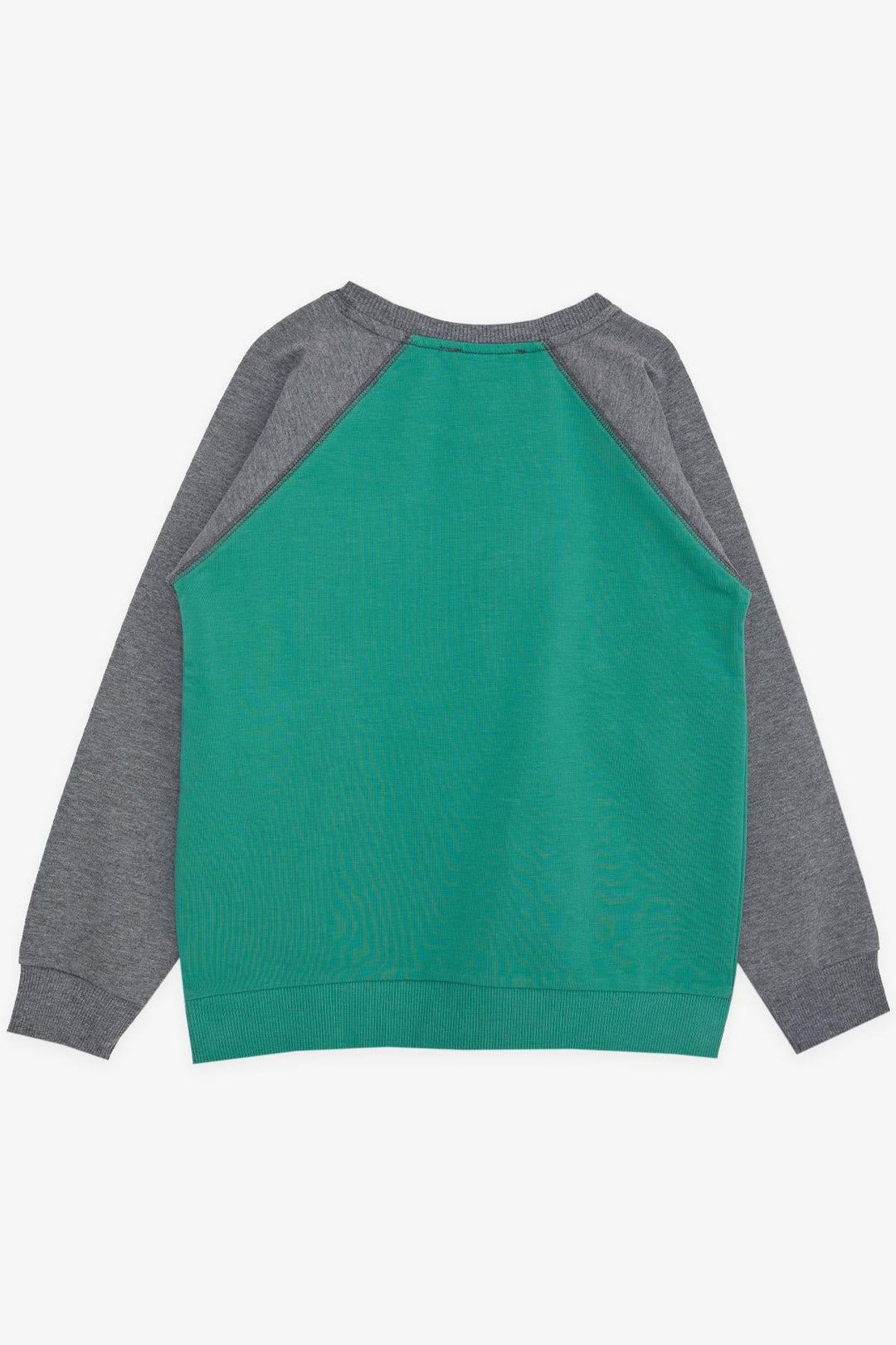 BRE Breeze Girls & Boys Boys Sweatshirt Printed with Pocket 50 Years, Mint Green - Varash