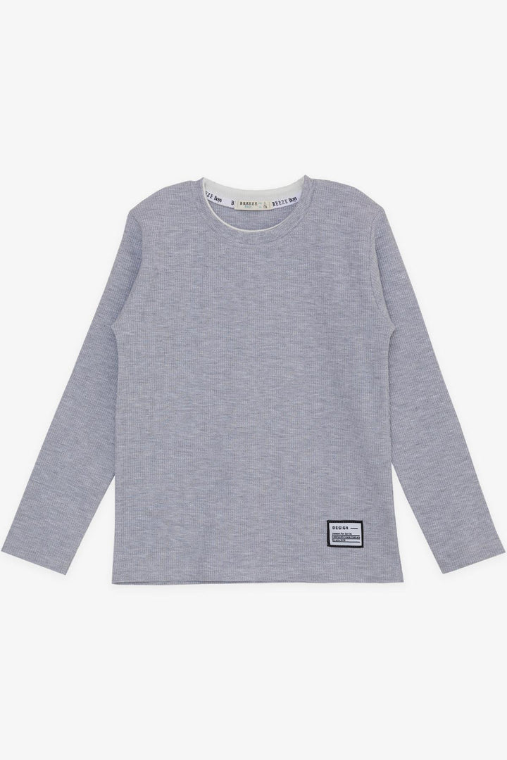 BRE Breeze Girls & Boys Boys Long Sleeve T-Shirt with Emblem 84 Years, Light Grey Melange - Ocoyoacac