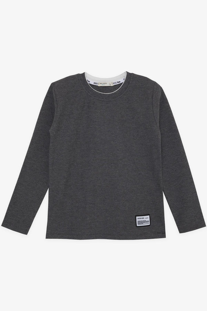 BRE Breeze Girls & Boys Boys Long Sleeve T-Shirt with Emblem 84 Years, Dark Grey Melange - La Laguna