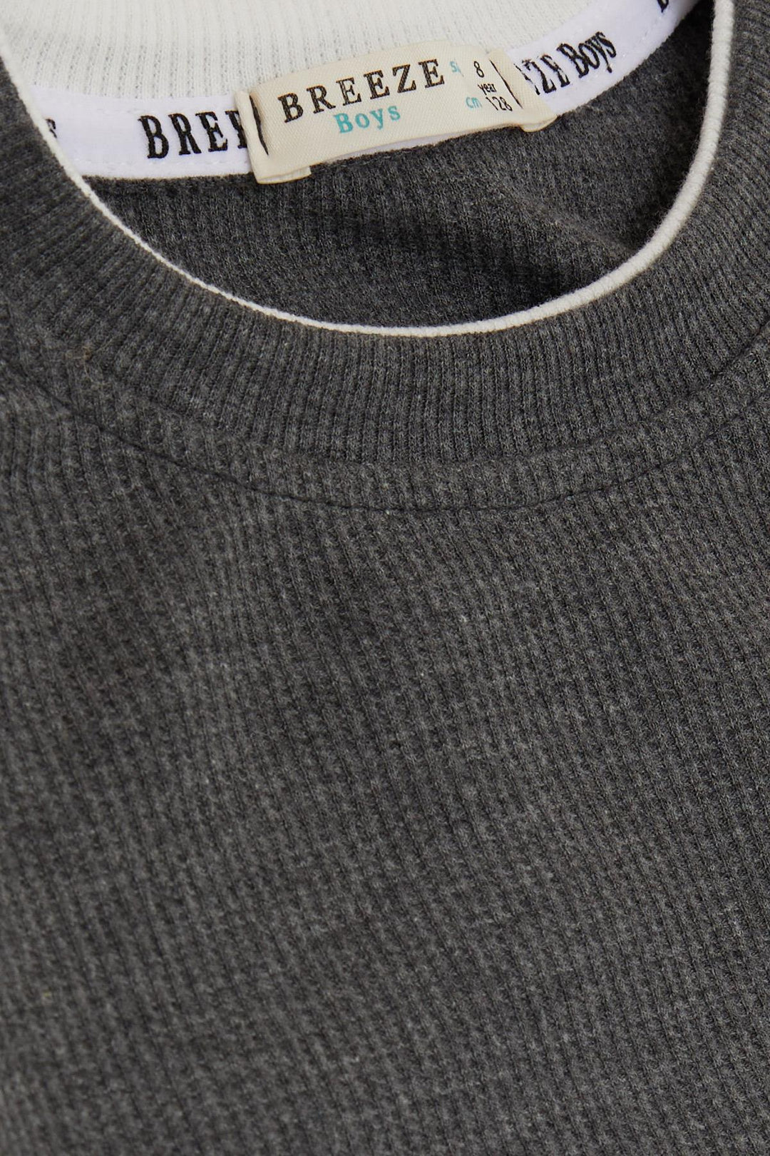 BRE Breeze Girls & Boys Boys Long Sleeve T-Shirt with Emblem 84 Years, Dark Grey Melange - La Laguna