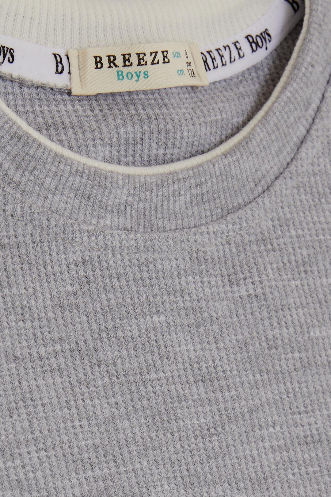 BRE Breeze Girls & Boys Boys Long Sleeve T-Shirt with Emblem 84 Years, Light Grey Melange - Ocoyoacac