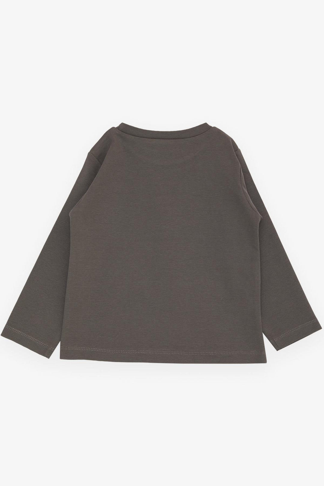 BRE Breeze Girls & Boys Boys Long Sleeve T-Shirt Skateboarder Glasses Dinosaur Printed 1-4 Years, Smoke Gray - El Ejido