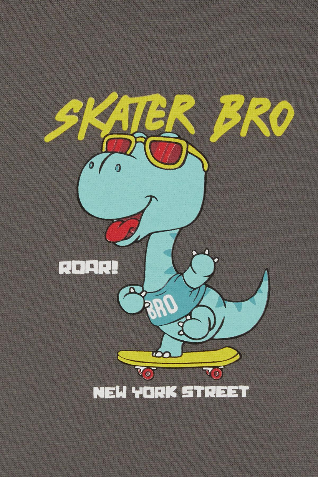 BRE Breeze Girls & Boys Boys Long Sleeve T-Shirt Skateboarder Glasses Dinosaur Printed 1-4 Years, Smoke Gray - El Ejido