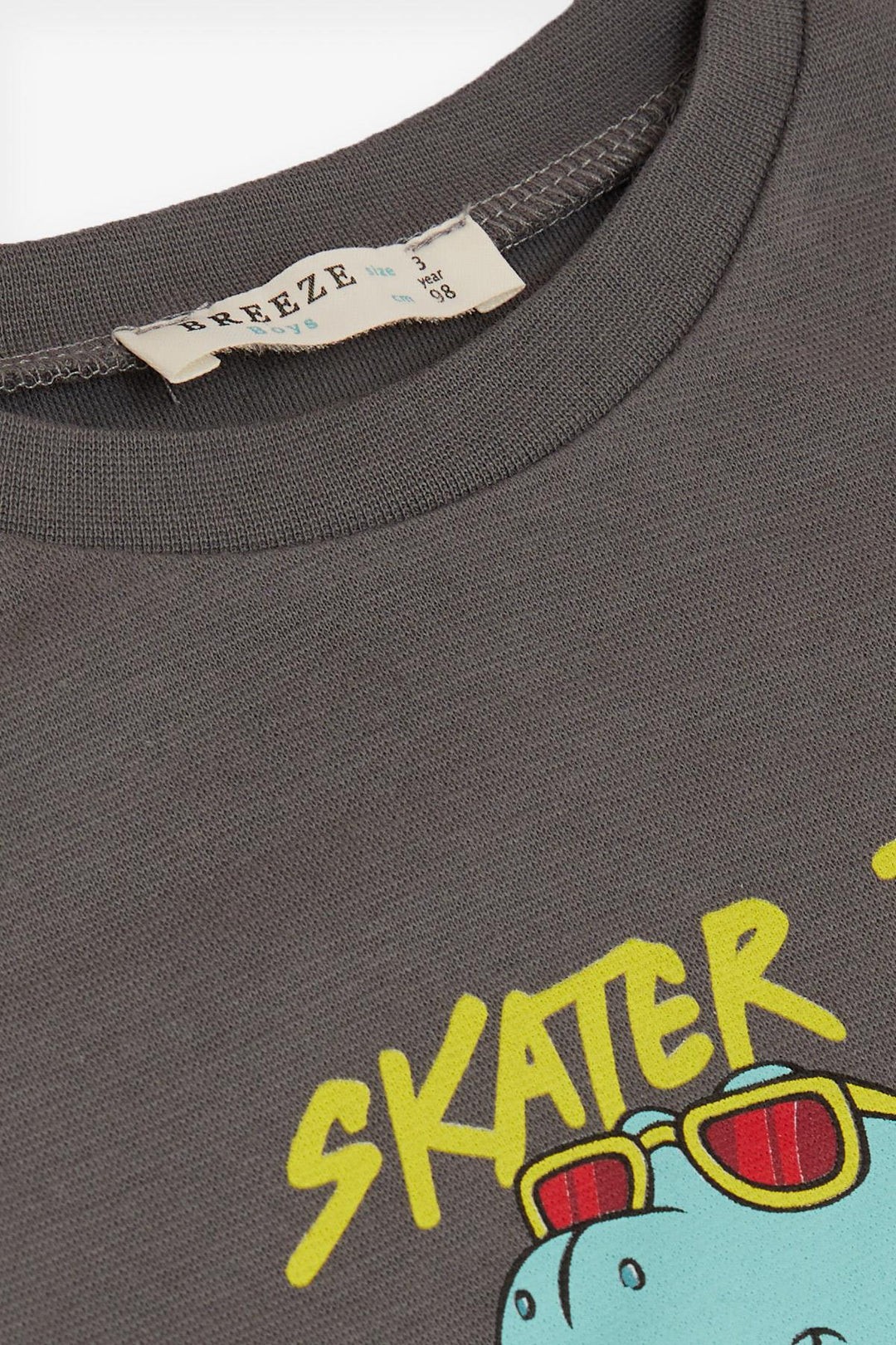 BRE Breeze Girls & Boys Boys Long Sleeve T-Shirt Skateboarder Glasses Dinosaur Printed 1-4 Years, Smoke Gray - El Ejido