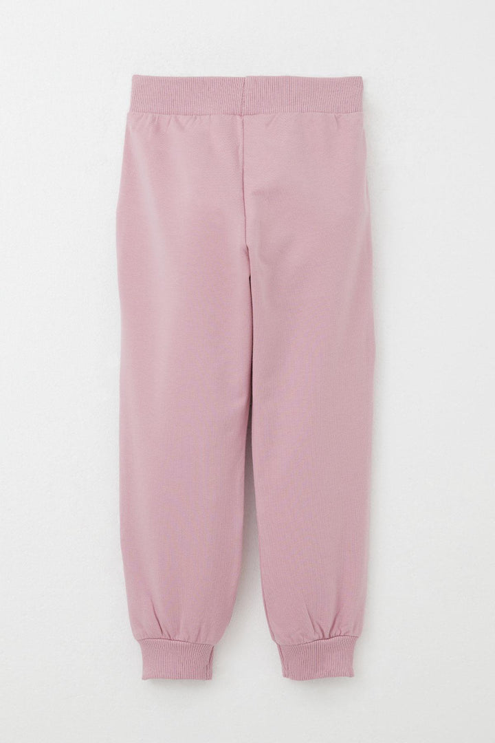 BRE Breeze Girl Child Tracksuit Friendship Themed Cute Bear Printed 1-4 Years, Pink - Waltham