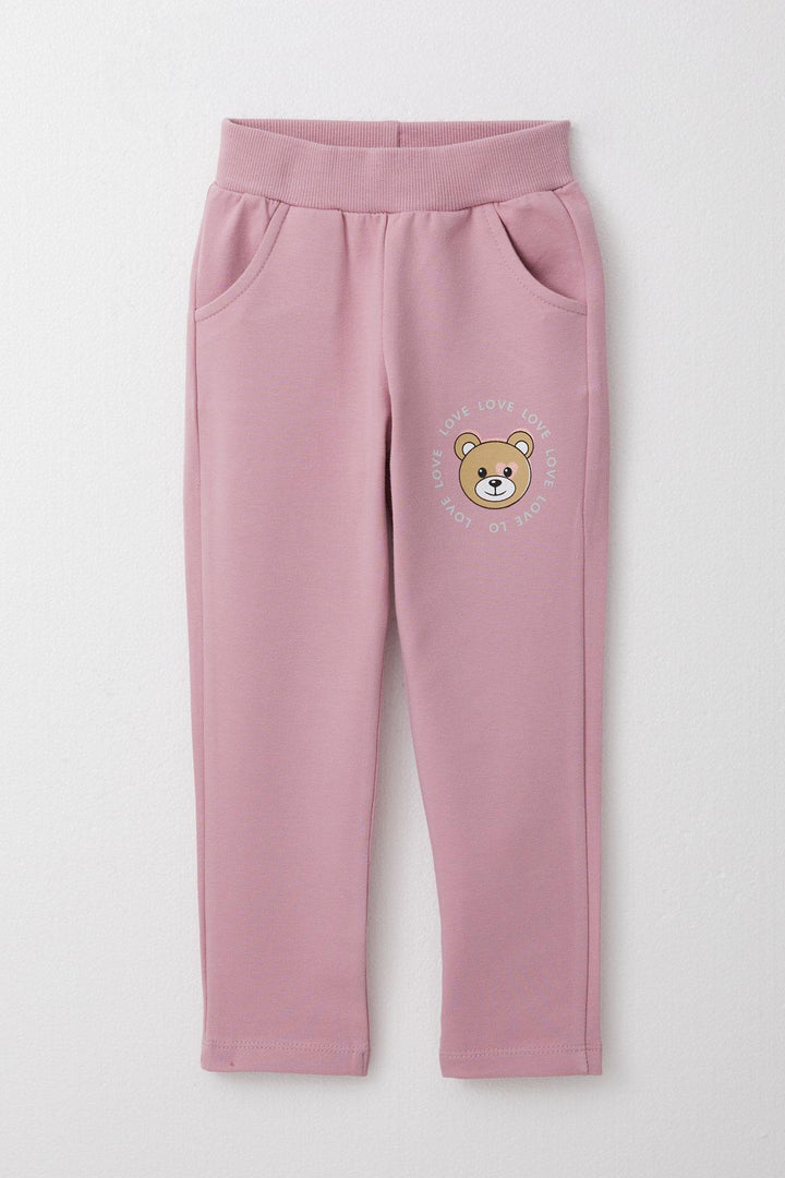 BRE Breeze Girl Child Tracksuit Glittery Printed Cute Bear 1.5-5 Years, Light Grey Melange - Cuautitlán Izcalli