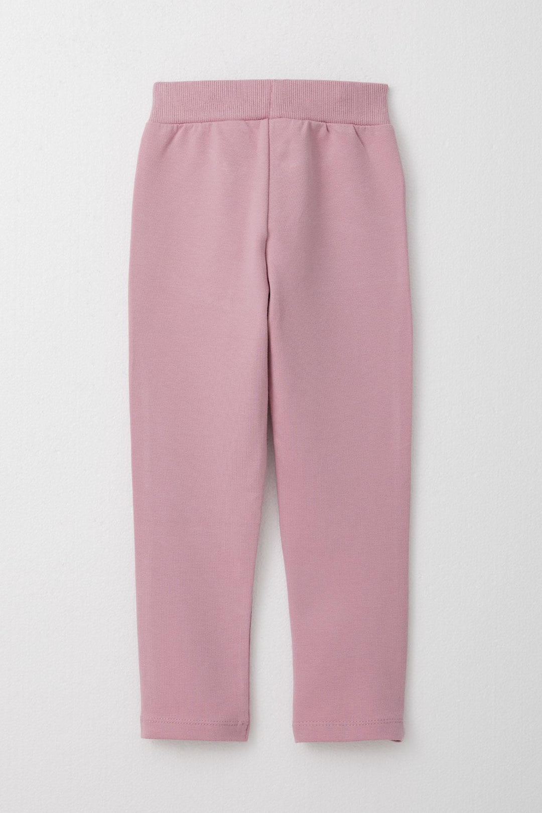 BRE Breeze Girl Child Tracksuit Glittery Printed Cute Bear 1.5-5 Years, Light Grey Melange - Cuautitlán Izcalli