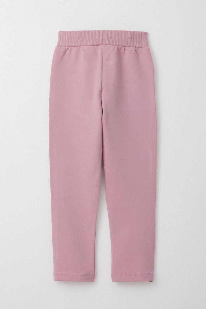 BRE Breeze Girl Child Tracksuit Glittery Printed Cute Bear 1.5-5 Years, Light Grey Melange - Cuautitlán Izcalli