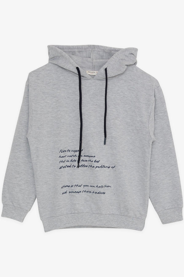 BRE Breeze Girl's Tracksuit with Rhinestone Printed Hoodie 82 Years, Grey Melange - Whanganui