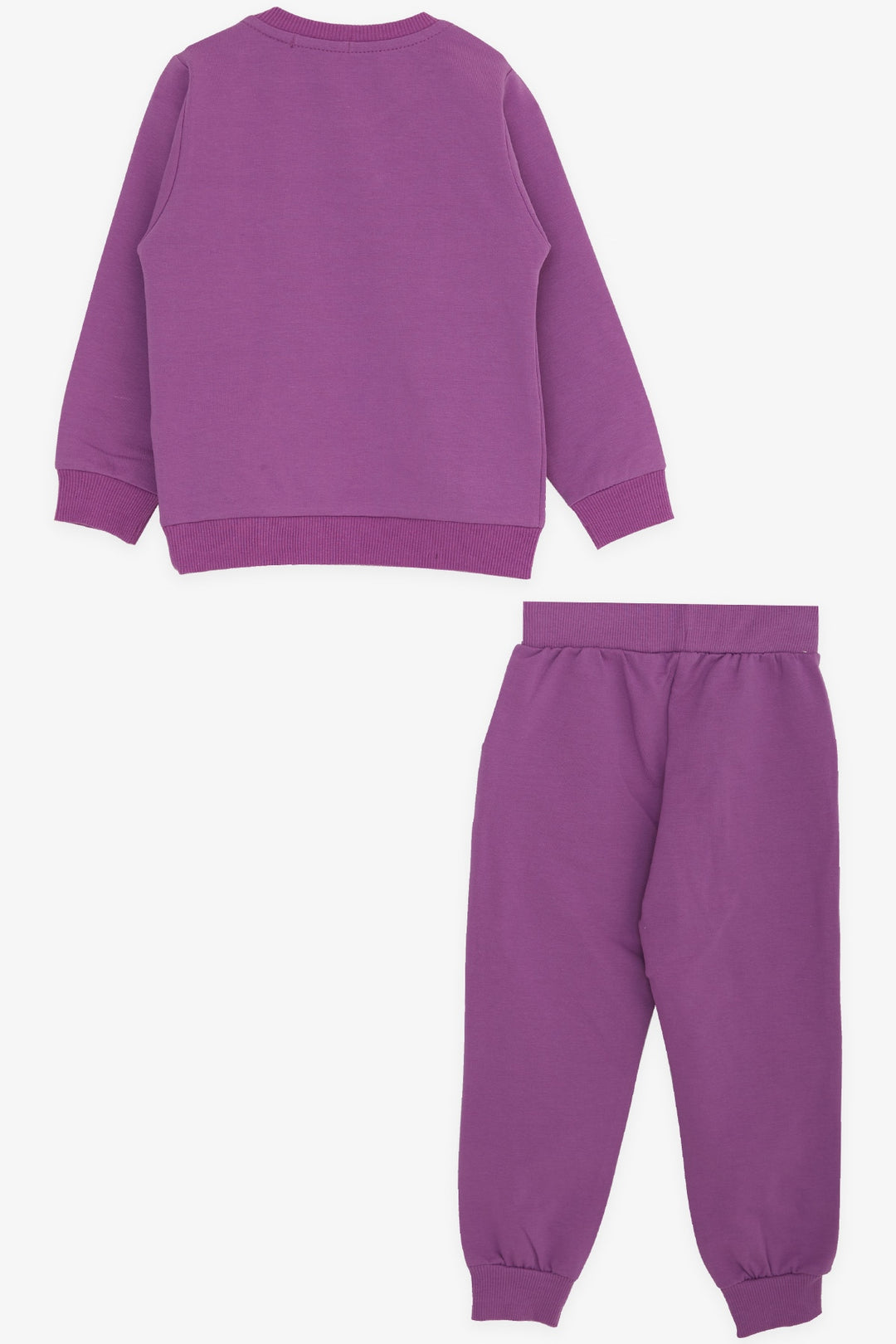 BRE Breeze Girl's Tracksuit with Teddy Bear Print 1.5-5 Years, Lilac - Buffalo Grove