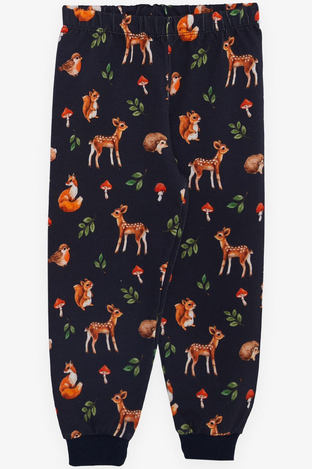 BRE Breeze Girl's Pyjama Set Forest Themed Cute Animals 1-4 Years, Anthracite - Saanich