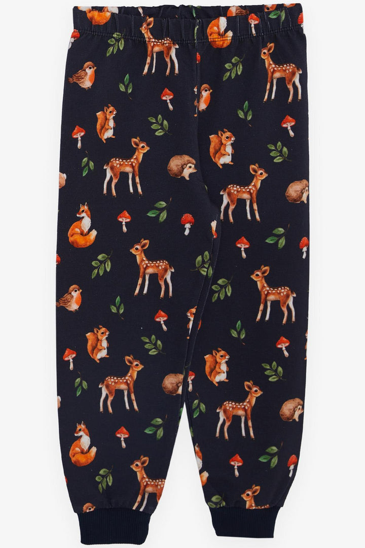 BRE Breeze Girl's Pyjama Set Forest Themed Cute Animals 1-4 Years, Anthracite - Saanich