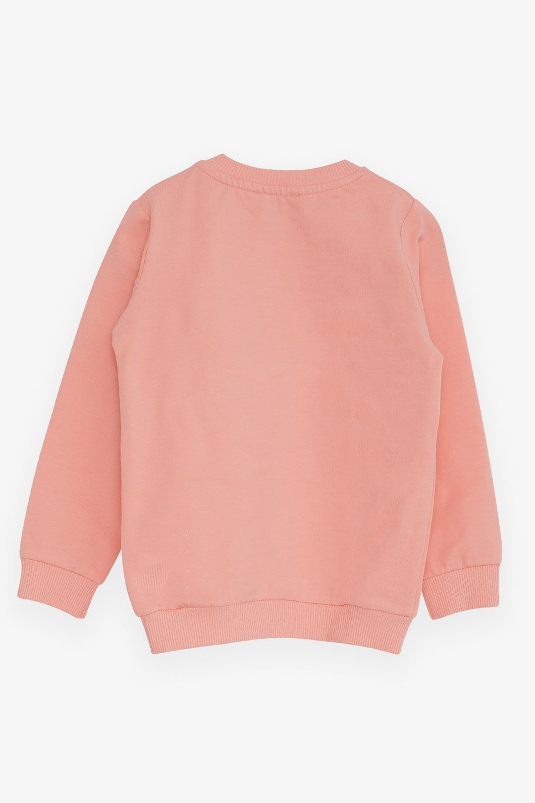 BRE Breeze Girl Child Sweatshirt with Bear Accessory, 1.5-5 Years, Salmon - West Sacramento