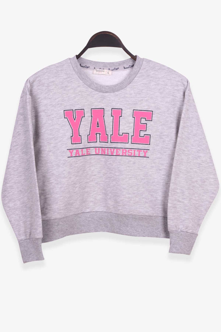 BRE Breeze Girl's Sweatshirt Printed 84 Years, Grey Melange - Rugby