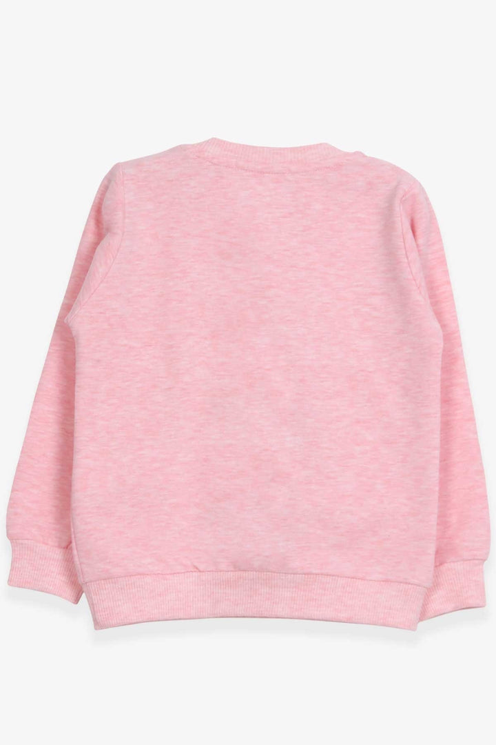 BRE Breeze Girl Child Sweatshirt Printed Sequined Unicorn 2-6 Years, Salmon Melange - Teramo