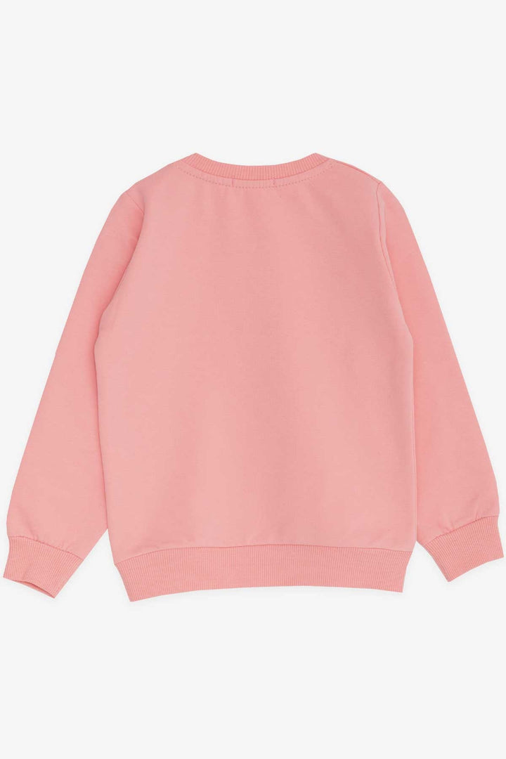 BRE Breeze Girl Child Sweatshirt Printed Sequined Unicorn 2-6 Years, Salmon - Dilbeek