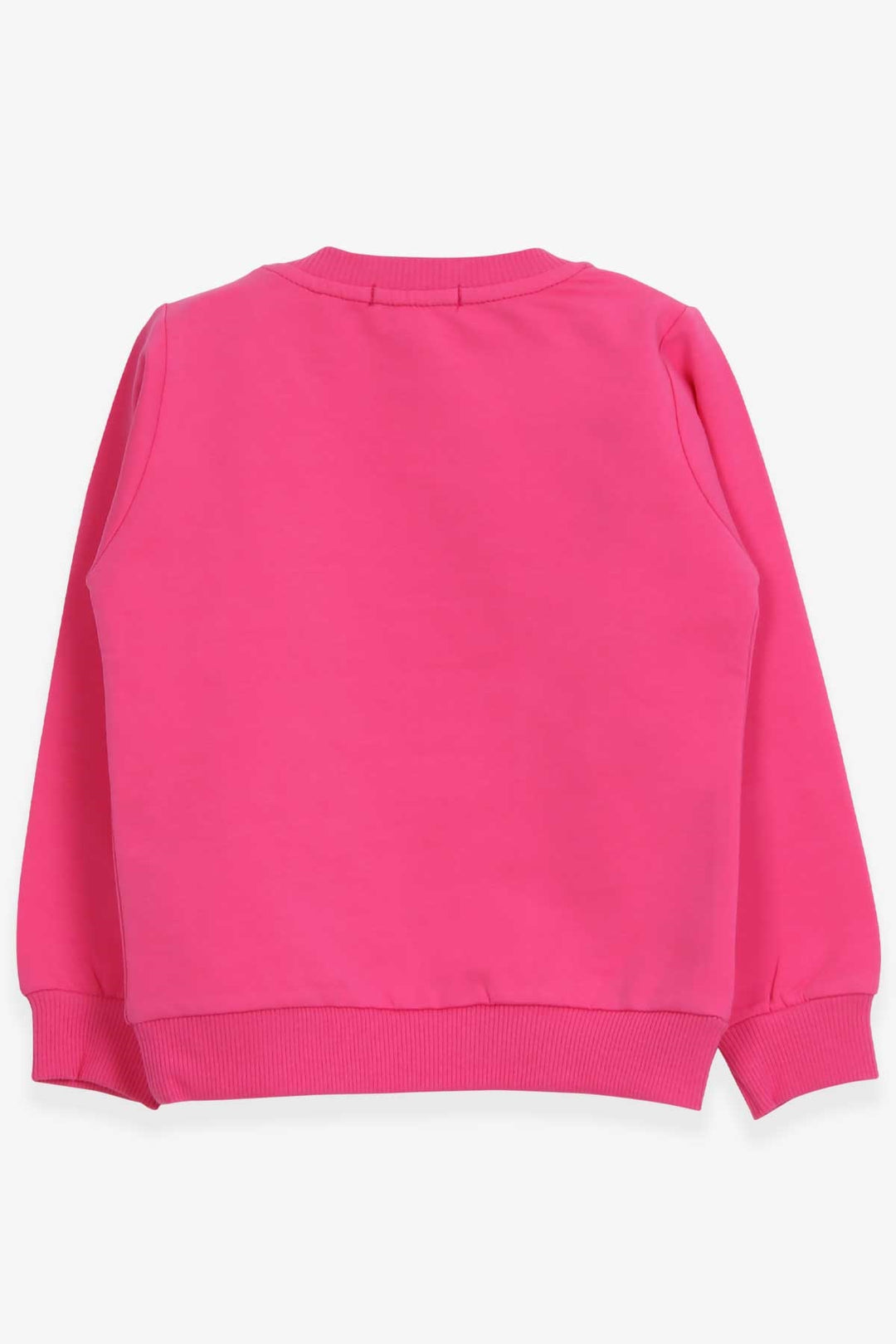 BRE Breeze Girl Child Sweatshirt Printed Sequined Unicorn 2-6 Years, Pink - Pomezia