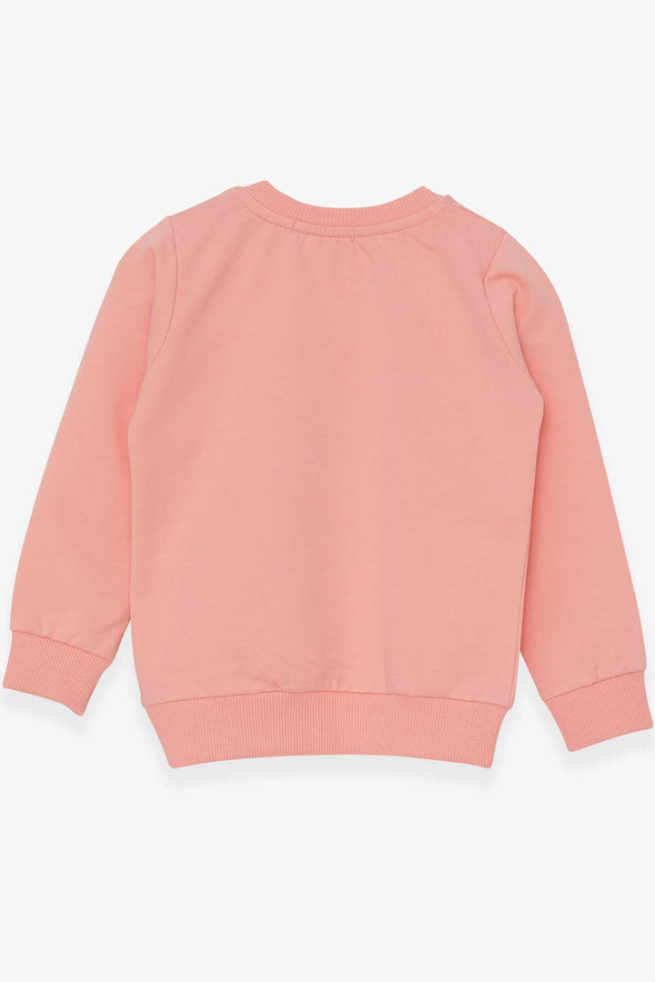 BRE Breeze Girl Child Sweatshirt Printed Unicorn 1.5-5 Years, Salmon - Chorley