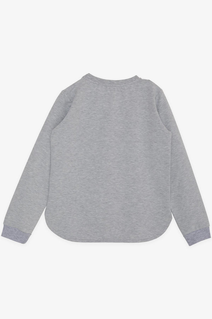 BRE Breeze Girl Child Sweatshirt Great Girl Printed with Flower 94 Years, Grey Melange - Derby