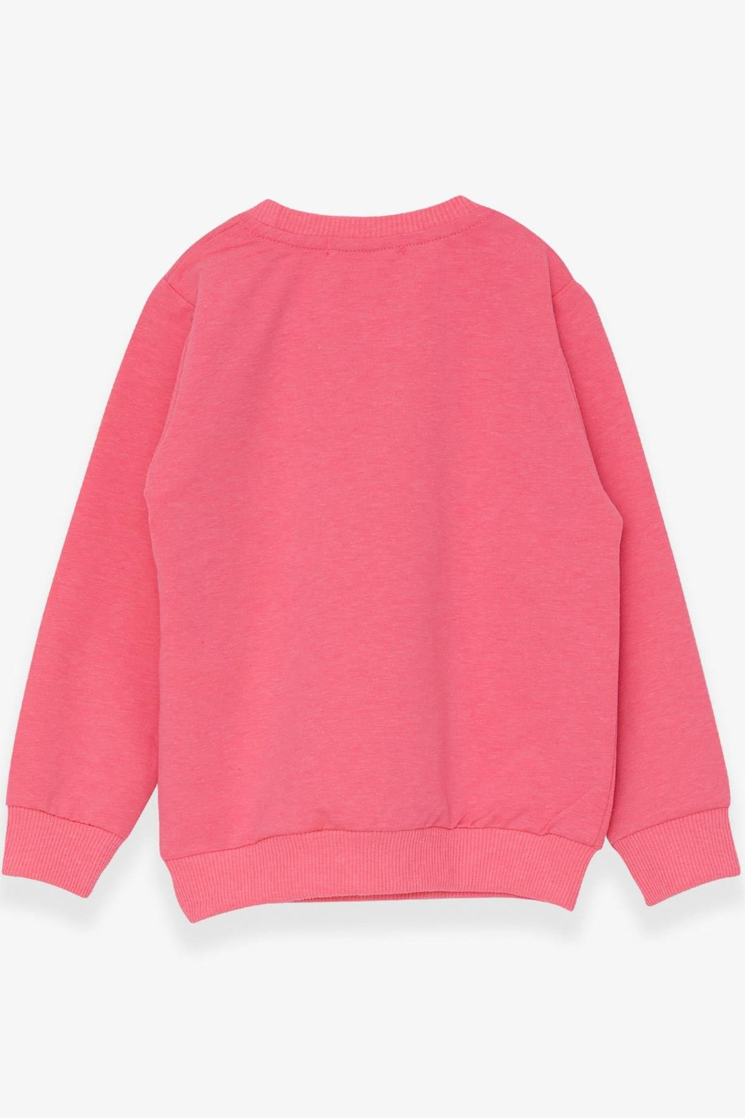 BRE Breeze Girl Child Sweatshirt Heart Printed 2-6 Years, Neon Pink - Kateríni