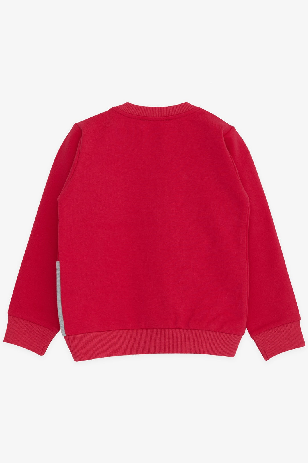 BRE Breeze Girl Child Sweatshirt Dog Printed 2-6 Years, Fuchsia - Darlington