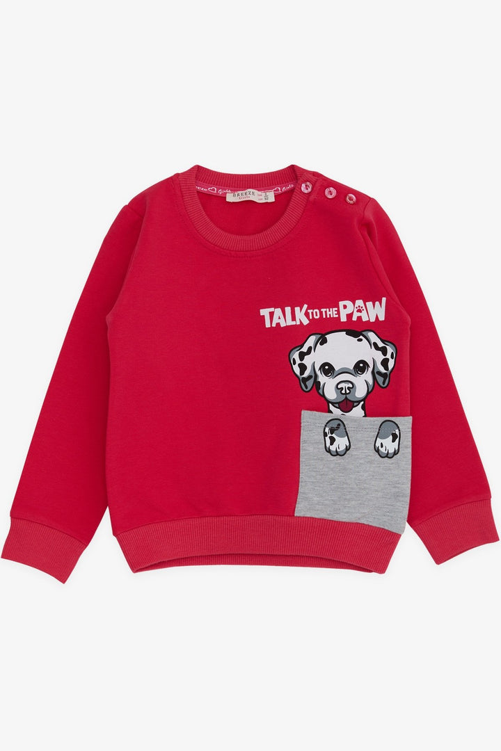 BRE Breeze Girl Child Sweatshirt Dog Printed 2-6 Years, Fuchsia - Darlington