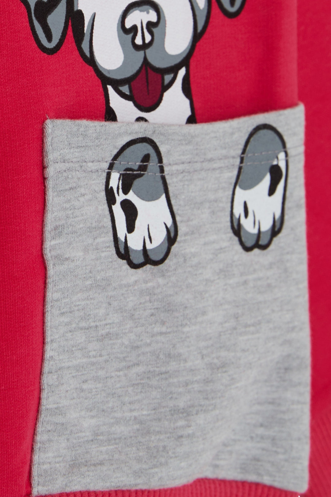 BRE Breeze Girl Child Sweatshirt Dog Printed 2-6 Years, Fuchsia - Darlington
