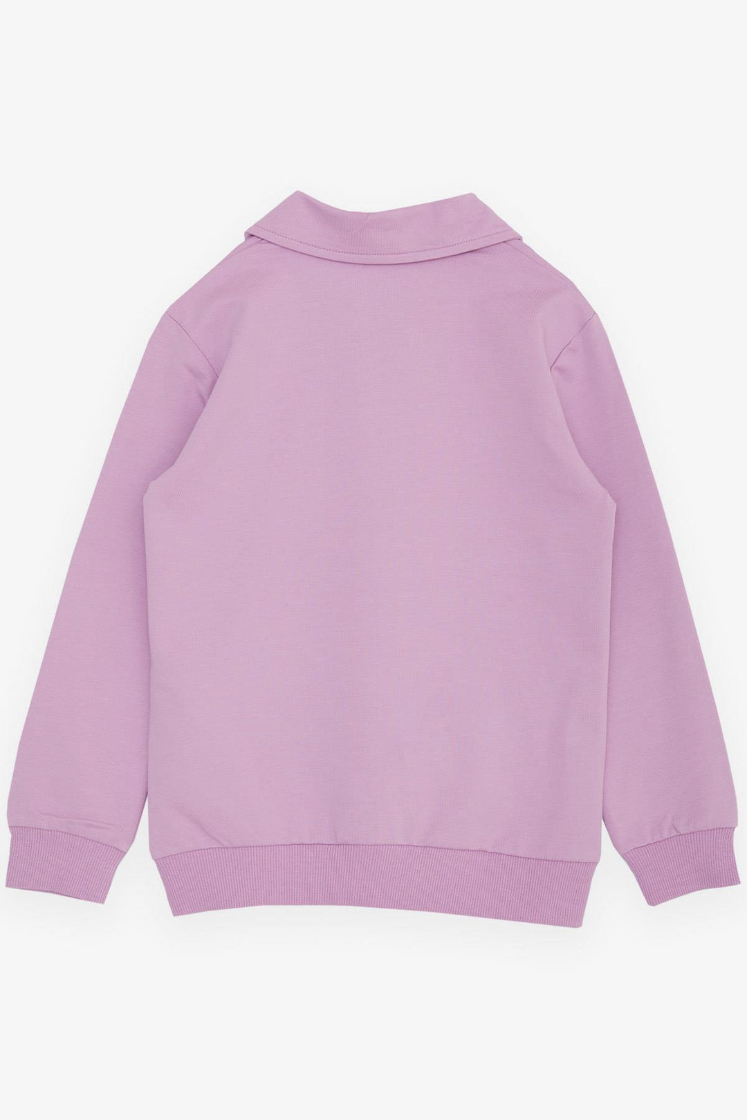 BRE Breeze Girl Child Sweatshirt with Magic Print Half Zip Polo Neck 84 Years, Lilac - South Jordan