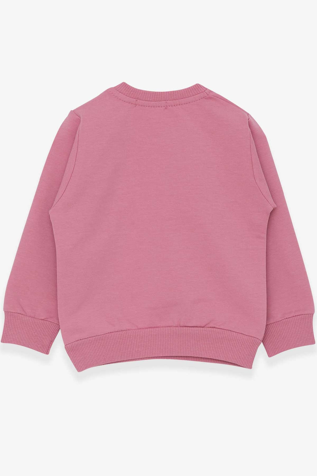 BRE Breeze Girl Child Sweatshirt with Embroidery Sequins 1-4 Years, Rose Pink - Villajoyosa